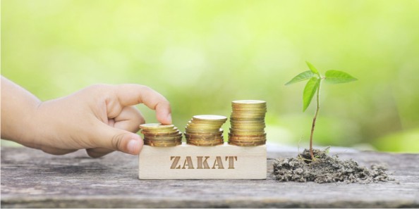 Pay Your Zakat